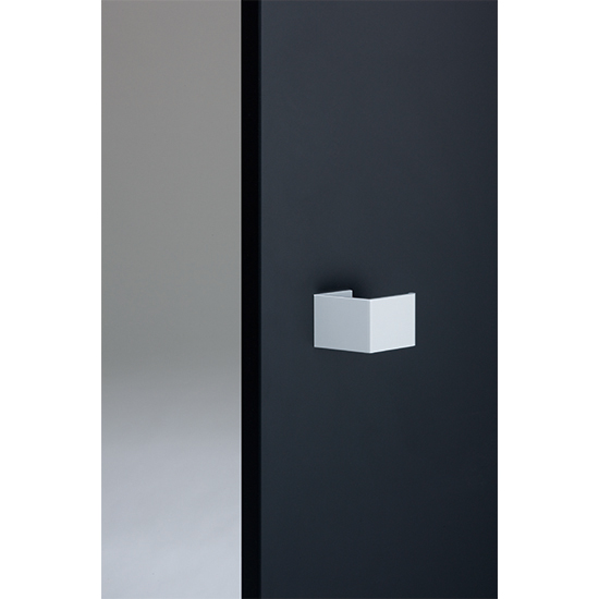 Door Pull